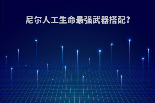 尼尔人工生命最强武器搭配?