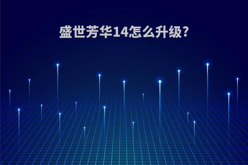盛世芳华14怎么升级?