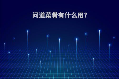 问道菜肴有什么用?