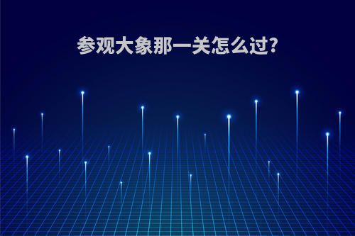 参观大象那一关怎么过?