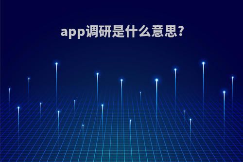 app调研是什么意思?