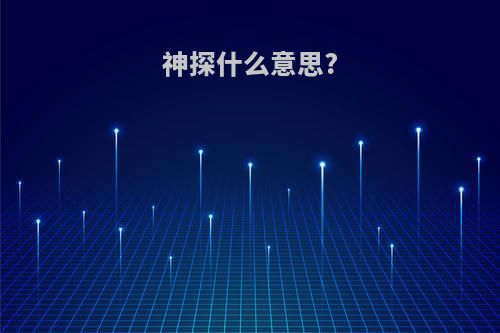 神探什么意思?