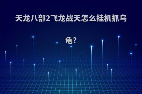 天龙八部2飞龙战天怎么挂机抓乌龟?