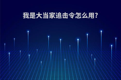我是大当家追击令怎么用?