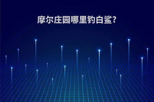 摩尔庄园哪里钓白鲨?
