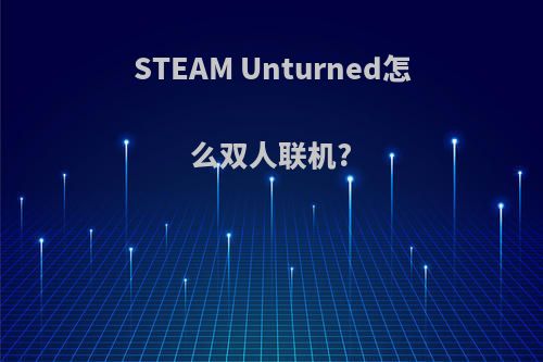 STEAM Unturned怎么双人联机?