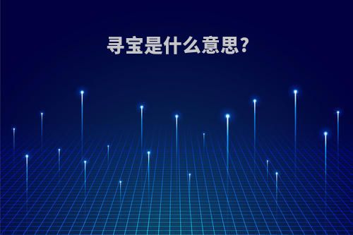 寻宝是什么意思?