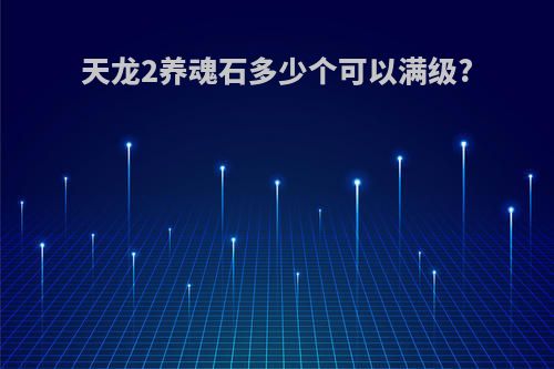 天龙2养魂石多少个可以满级?