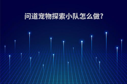 问道宠物探索小队怎么做?