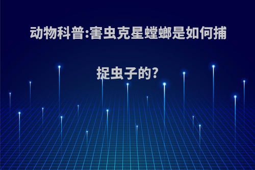 动物科普:害虫克星螳螂是如何捕捉虫子的?