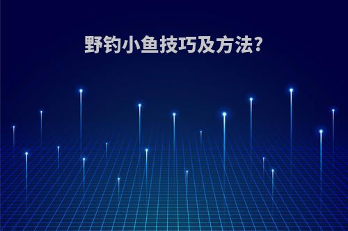 野钓小鱼技巧及方法?