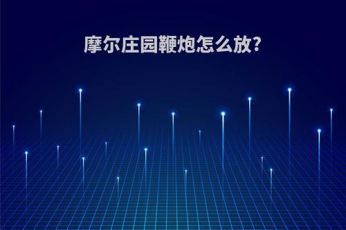 摩尔庄园鞭炮怎么放?