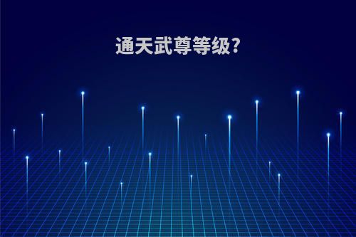 通天武尊等级?