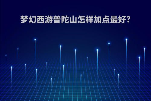 梦幻西游普陀山怎样加点最好?