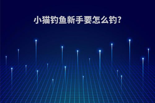 小猫钓鱼新手要怎么钓?
