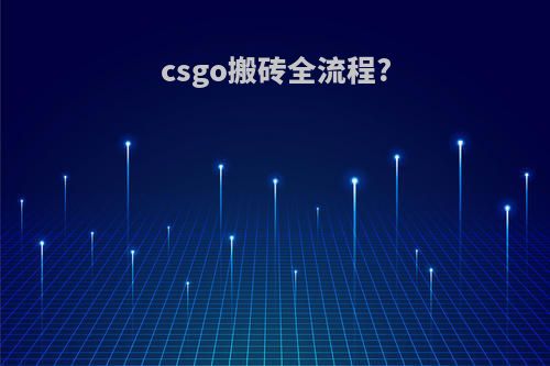 csgo搬砖全流程?