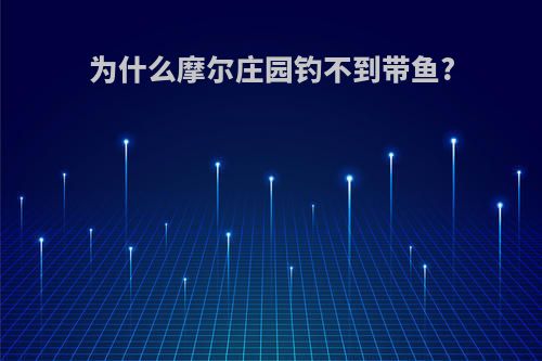 为什么摩尔庄园钓不到带鱼?