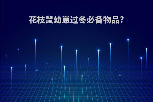 花枝鼠幼崽过冬必备物品?