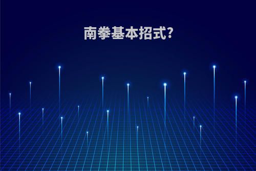 南拳基本招式?