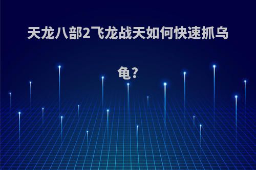 天龙八部2飞龙战天如何快速抓乌龟?