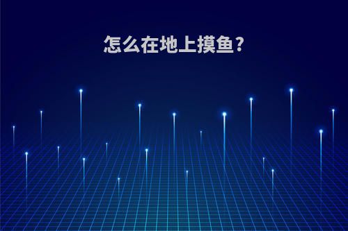 怎么在地上摸鱼?