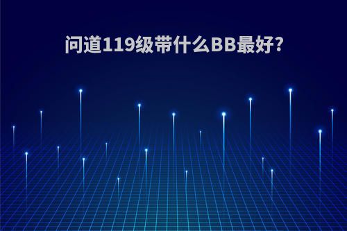 问道119级带什么BB最好?