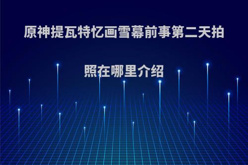 原神提瓦特忆画雪幕前事第二天拍照在哪里介绍
