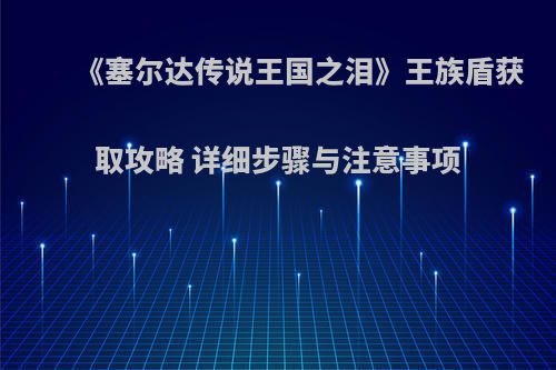 《塞尔达传说王国之泪》王族盾获取攻略 详细步骤与注意事项