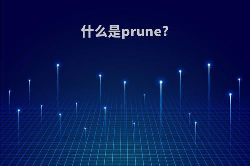 什么是prune?