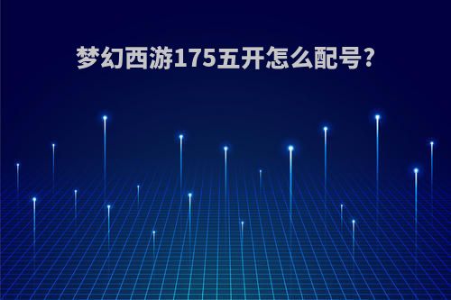 梦幻西游175五开怎么配号?