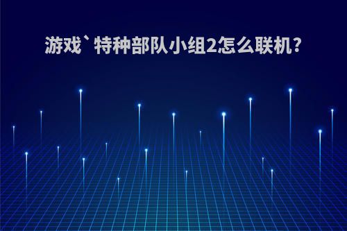 游戏`特种部队小组2怎么联机?