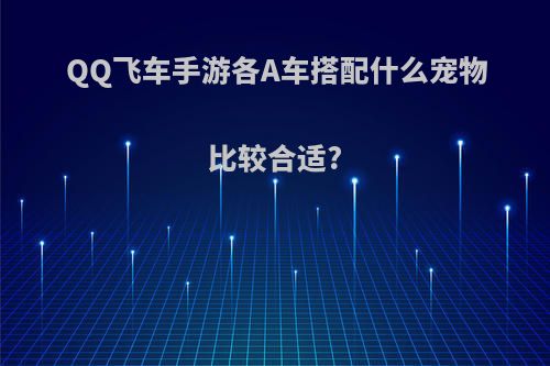 QQ飞车手游各A车搭配什么宠物比较合适?
