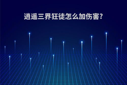 逍遥三界狂徒怎么加伤害?