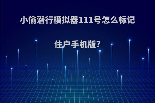 小偷潜行模拟器111号怎么标记住户手机版?