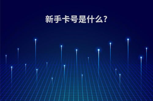 新手卡号是什么?