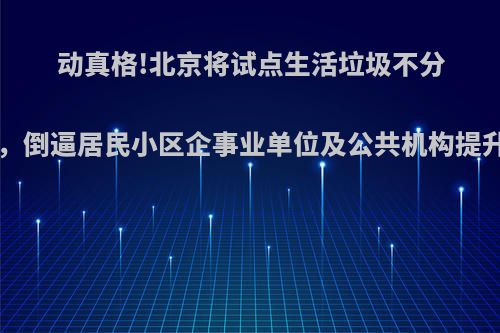 动真格!北京将试点生活垃圾不分类、不收运机制，倒逼居民小区企事业单位及公共机构提升效果.你怎么看?