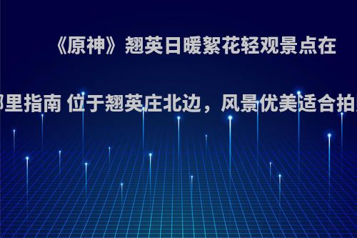 《原神》翘英日暖絮花轻观景点在哪里指南 位于翘英庄北边，风景优美适合拍照